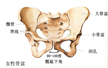 骨盆骨折